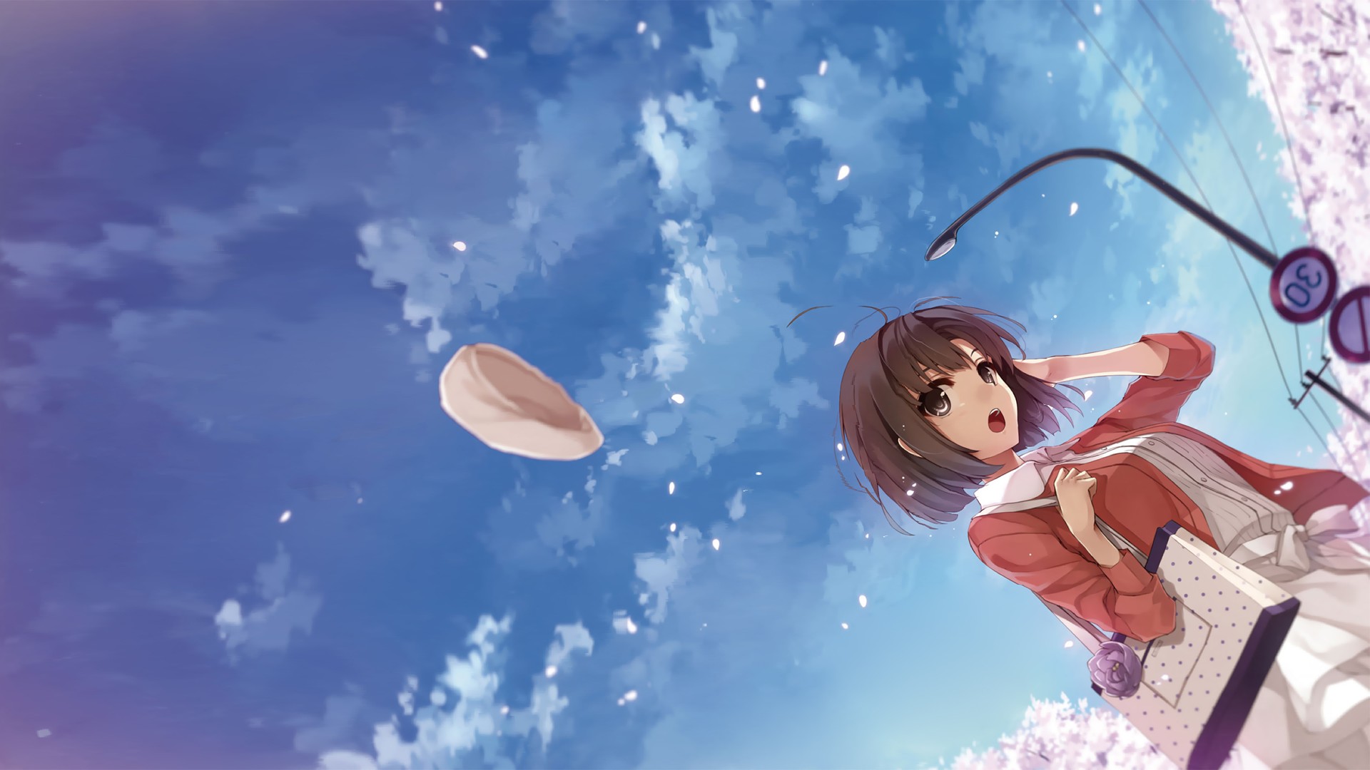 Windows系统安装方法